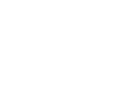 ГБОУ ВО "Нижегородский государственный инженерно-экономический университет"